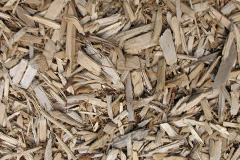 biomass boilers Ranais