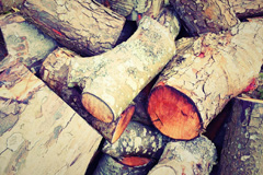Ranais wood burning boiler costs